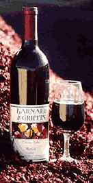 image of Vinturi, the incredible Wine Aerator: Now only $39.99 each!